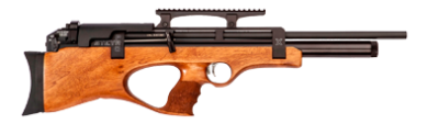 luftgewehr-karegori
